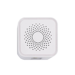 1GE+1FE+WiFi 5 Mesh Router