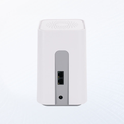 1GE+1FE+WiFi 5 Mesh Router