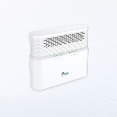 LTE CAT6 CPE