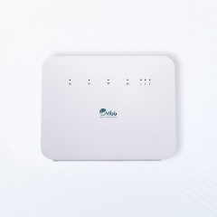 LTE CAT6 CPE