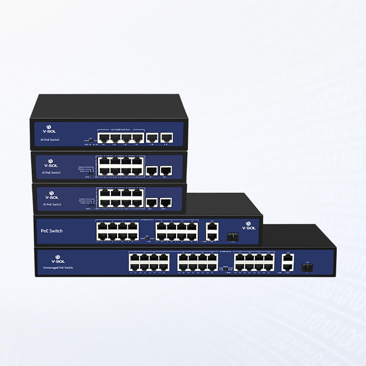 Unmanaged Switch