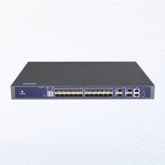 Carrier-Level Aggregation L3 Ethernet Switch