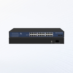 Unmanaged Switch (V11XX Series)